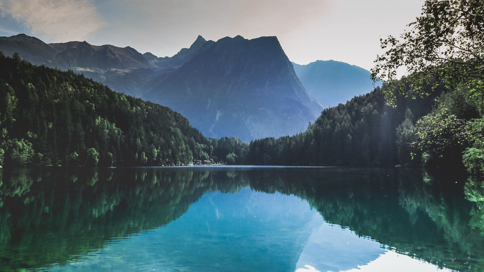 Still water at dawn